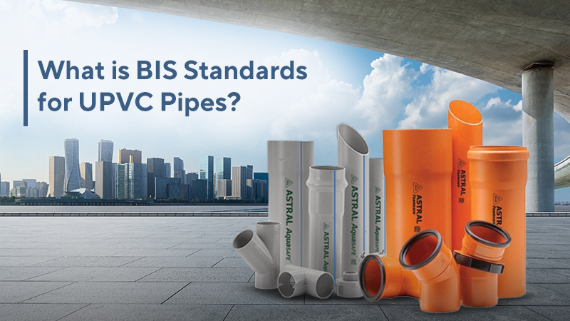bis certification