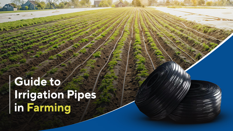 Irrigation Pipes